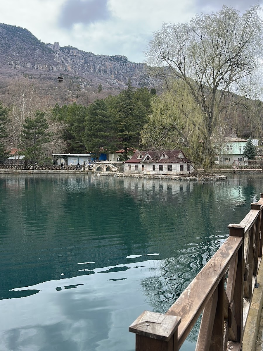 Kuğulu Park Mesire Yeri — fotoğraf 2