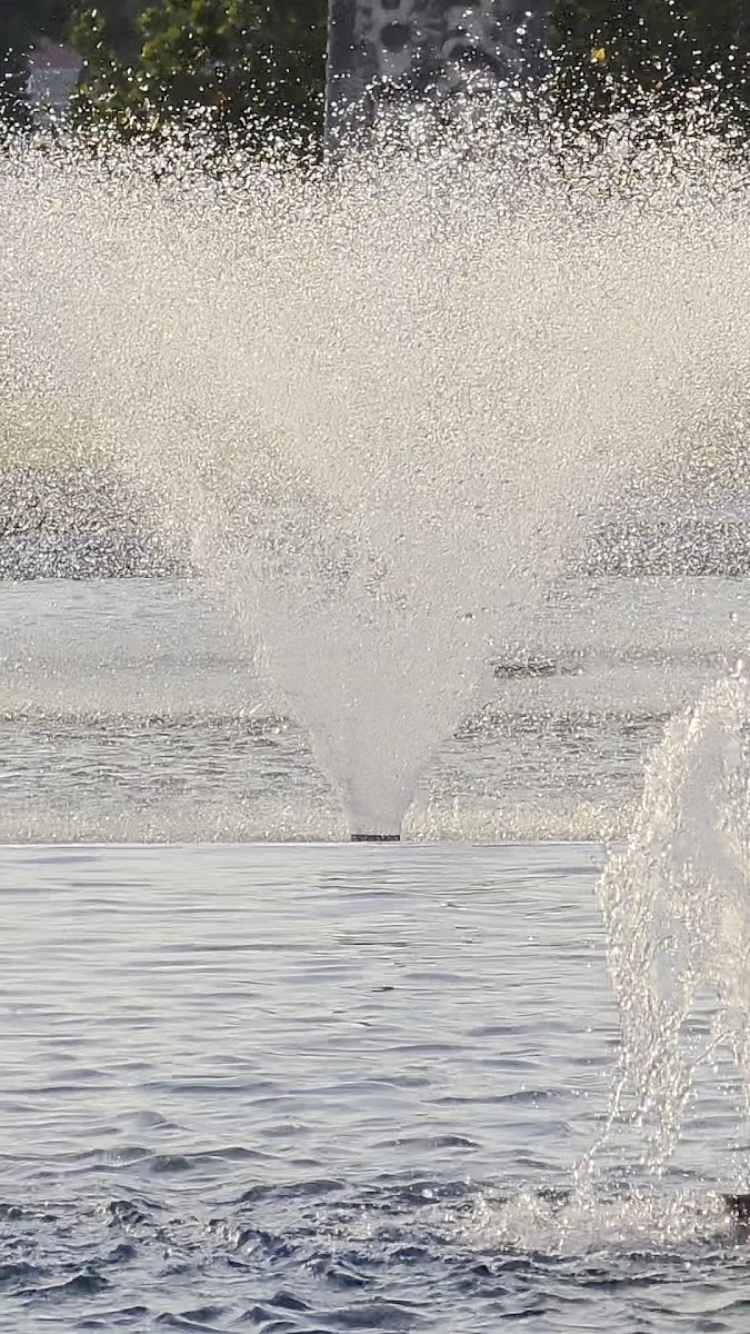 Kültürpark İzmir — fotoğraf 2