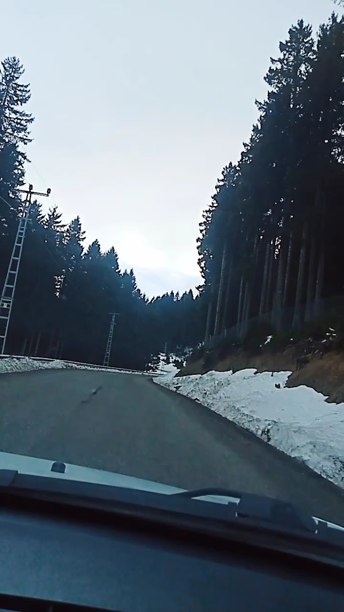 Kümbet Yaylası — fotoğraf 2