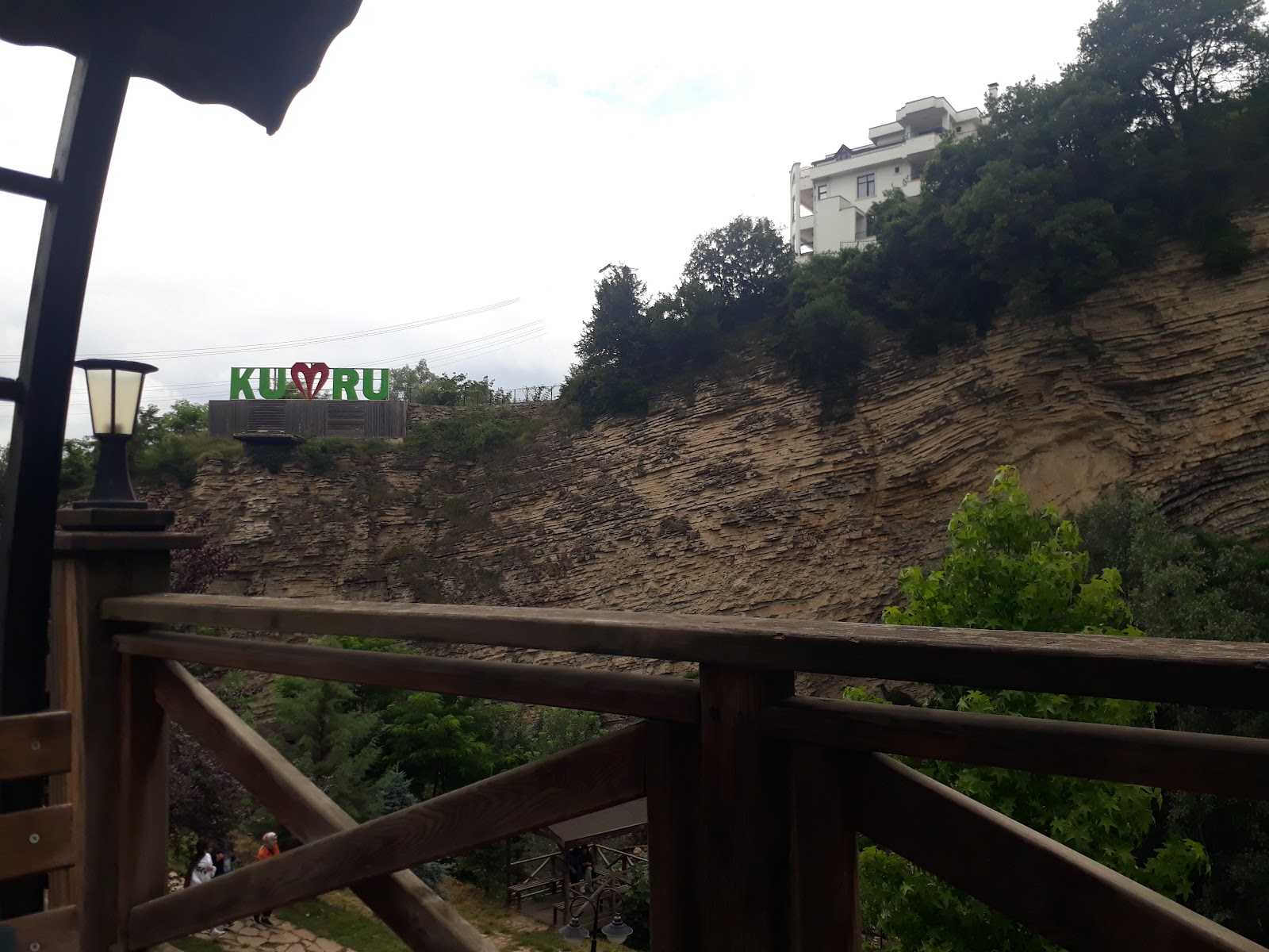 Kumru — photo