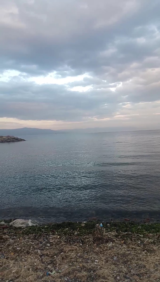 Kumyaka Plajı — photo 3
