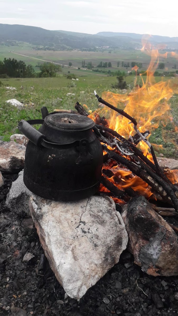 Kurşunlu Mesire Parkı — fotoğraf 3