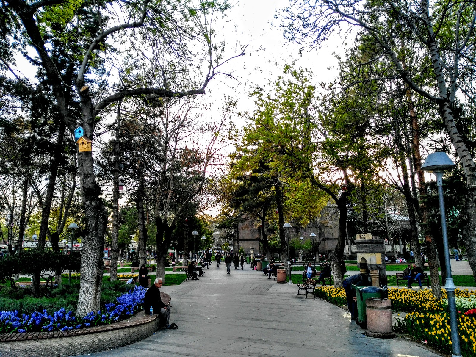 Kurşunlu Parkı — fotoğraf