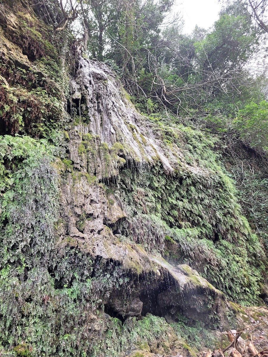 Kurşunlu Şelalesi/Kurşunlu Waterfall — fotoğraf 5