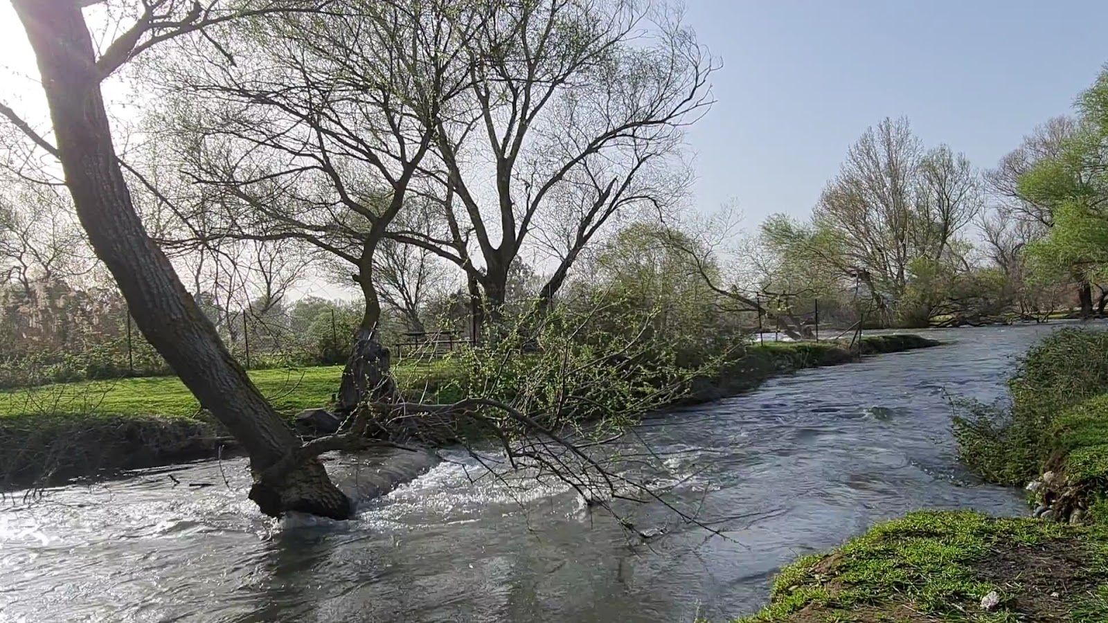 Kuş Cennet Piknik Alanı — fotoğraf 3