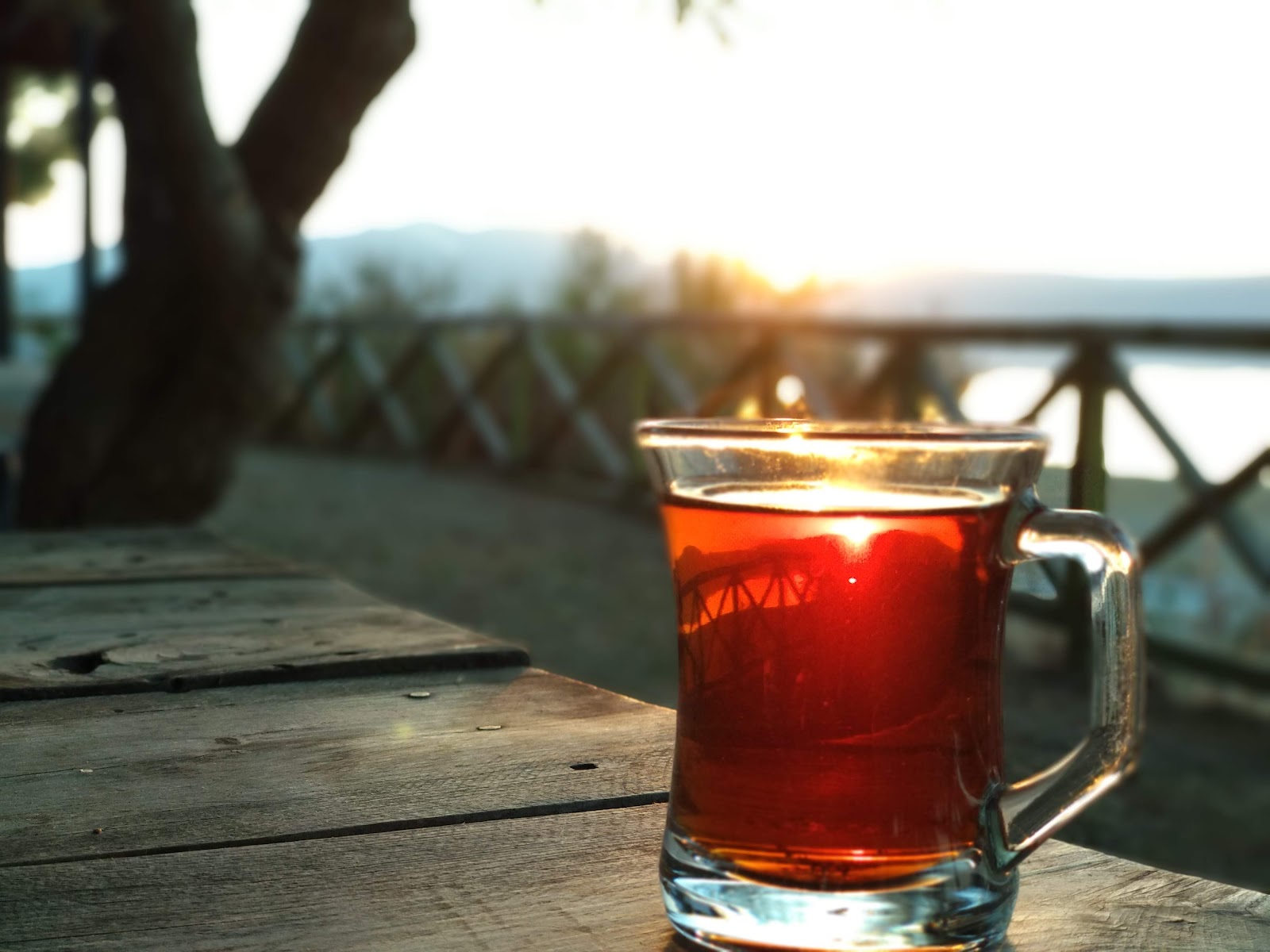 Kuş Gözleme Evi Çay Bahçesi — fotoğraf 5