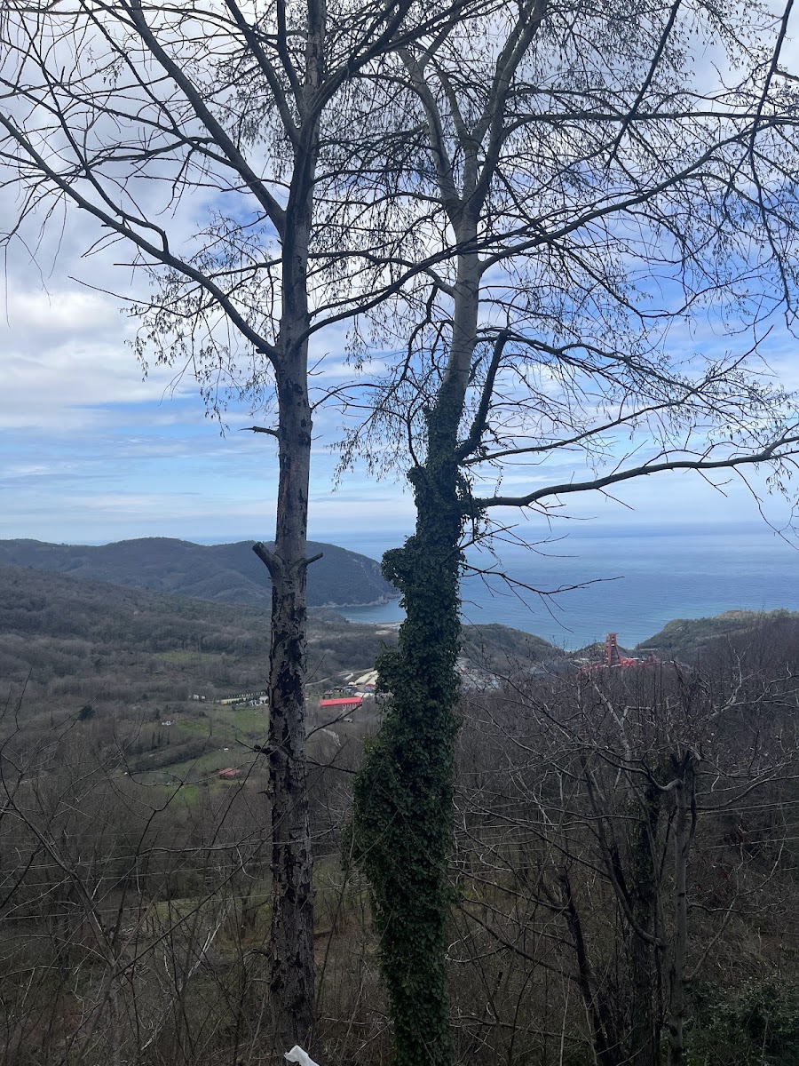 Kuş Kayası Yol Anıtı — fotoğraf 2