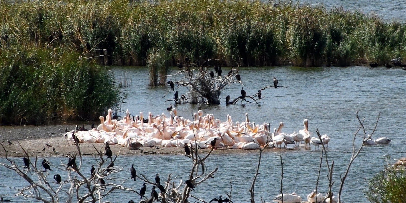 Kuşcenneti Milli Parkı — fotoğraf 2