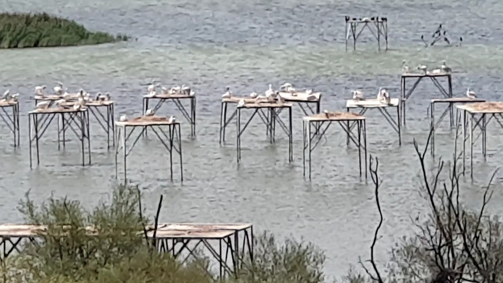 Kuşcenneti Milli Parkı — fotoğraf 3