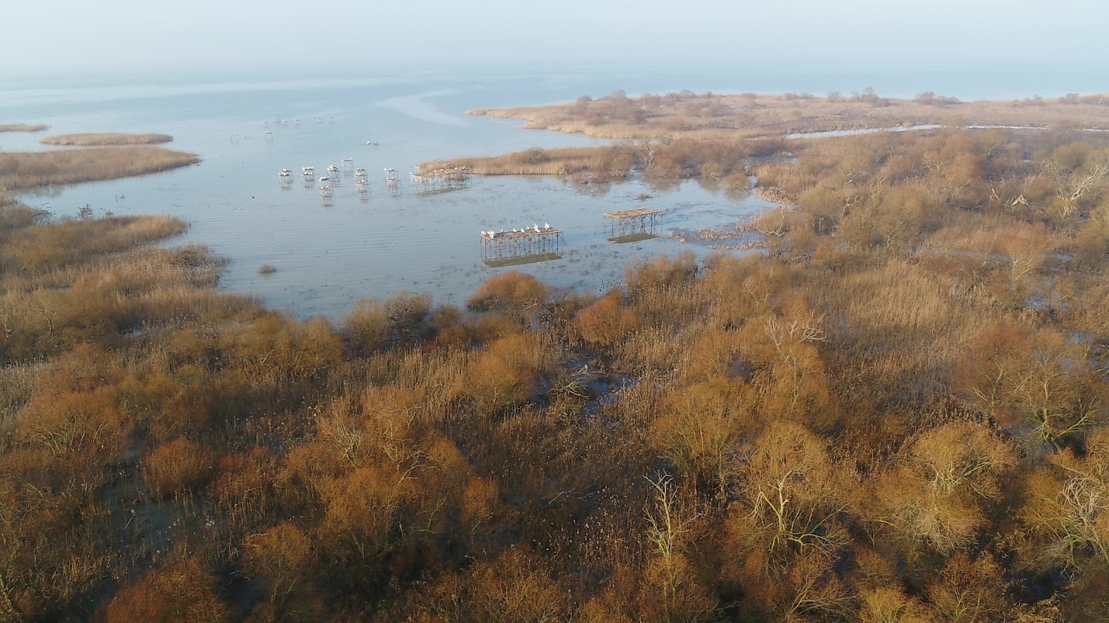 Kuşcenneti Milli Parkı — fotoğraf 4