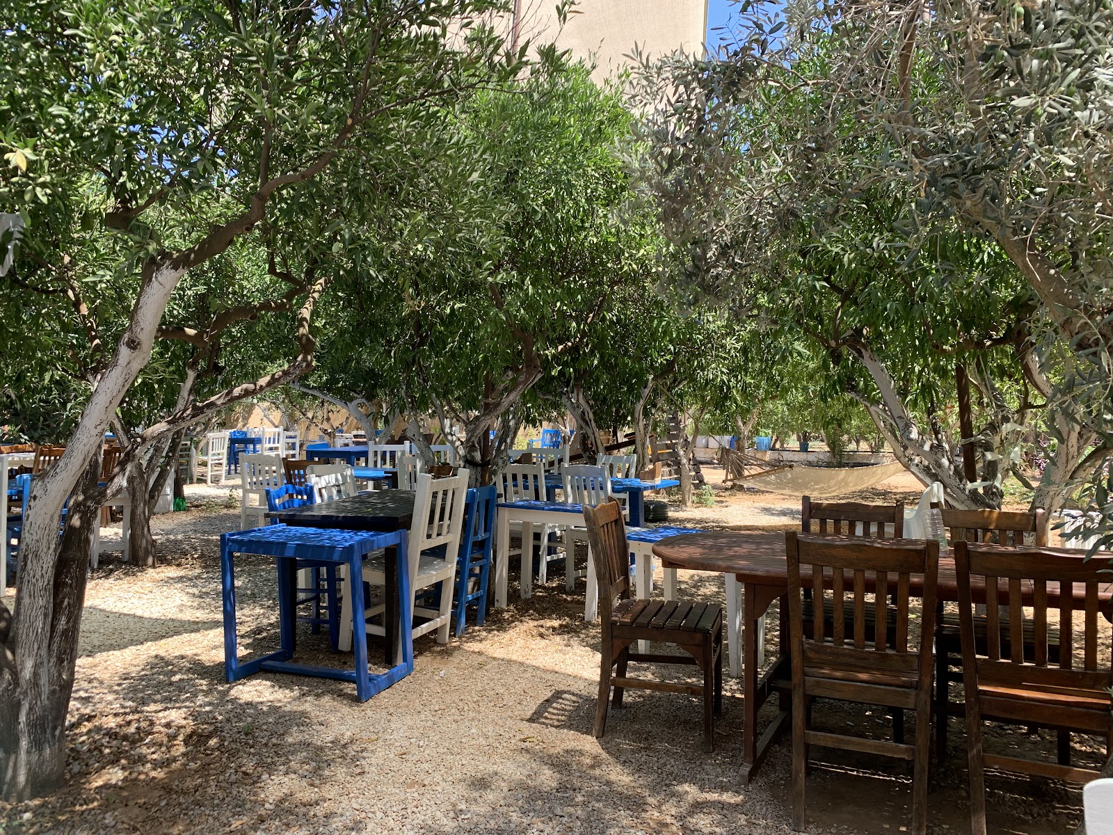 Kuytu Bahçe Bodrum — fotoğraf 1