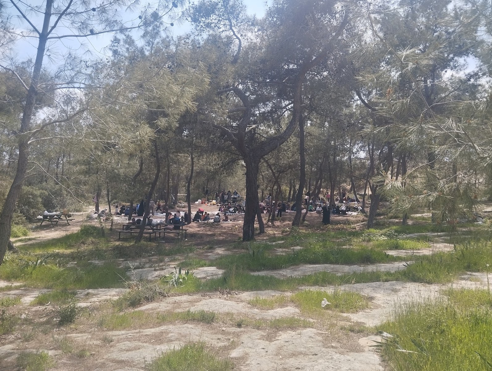 Kuyuluk Tabiat Parkı — fotoğraf 2