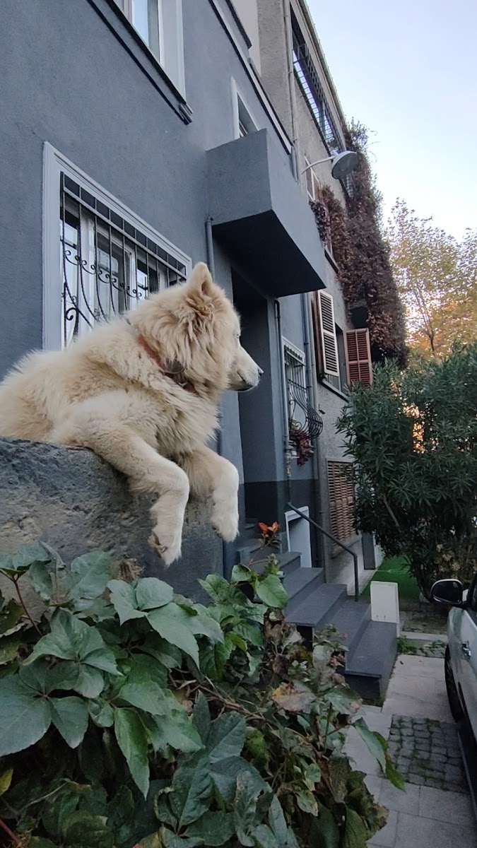 Kuzguncuk — fotoğraf 2