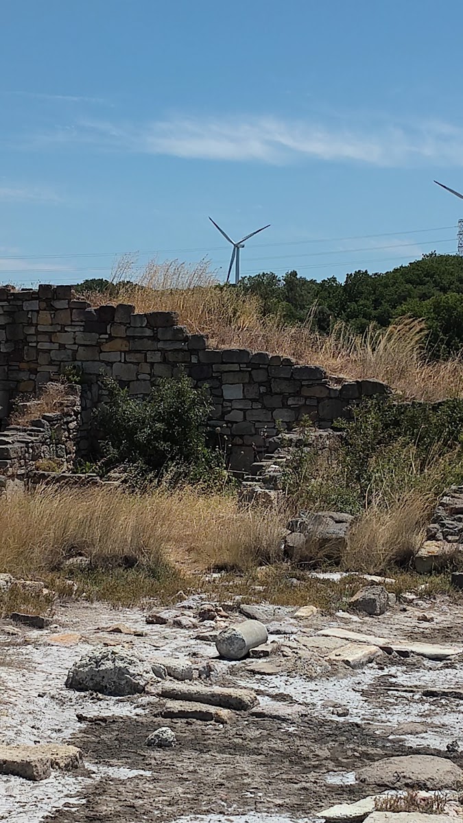 Kyme Antik Kenti — photo 3