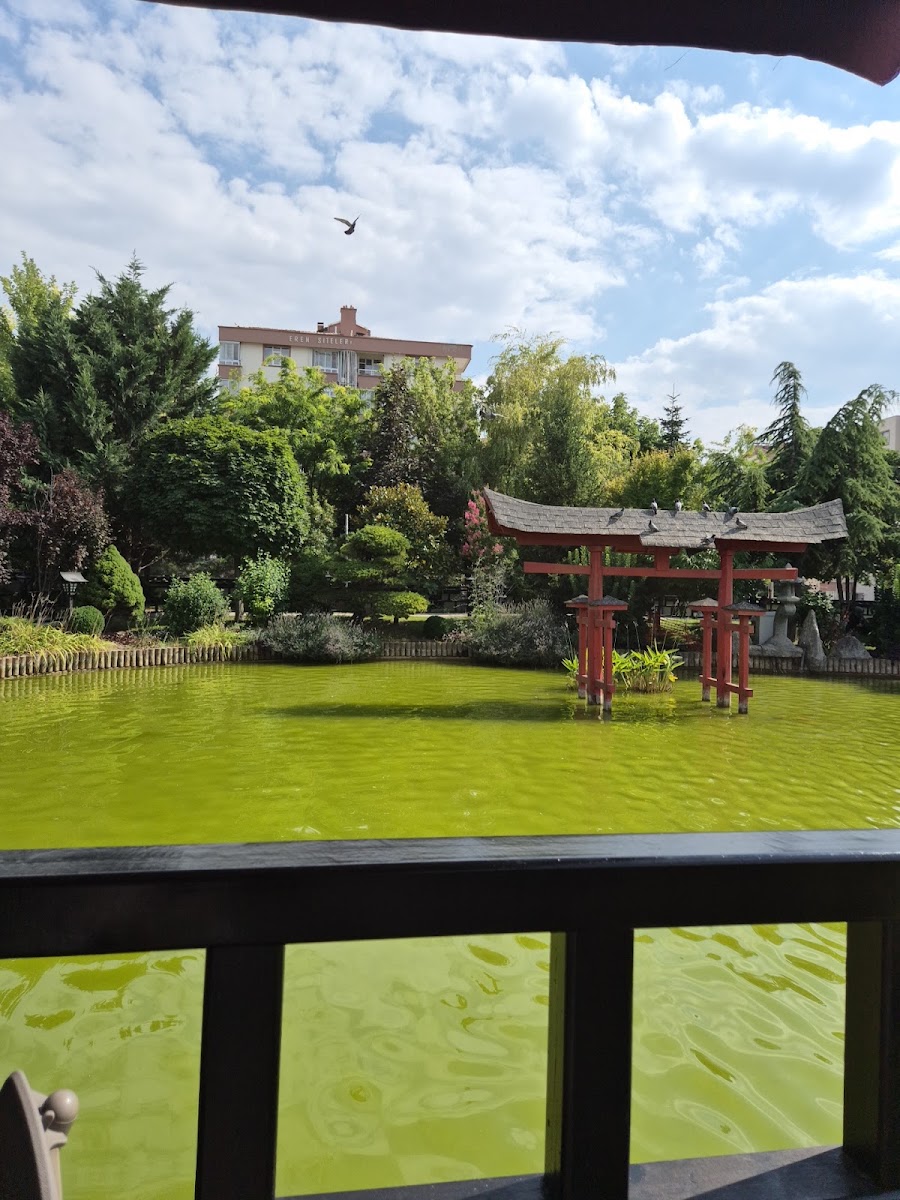 Kyoto Japon Parkı — photo 3