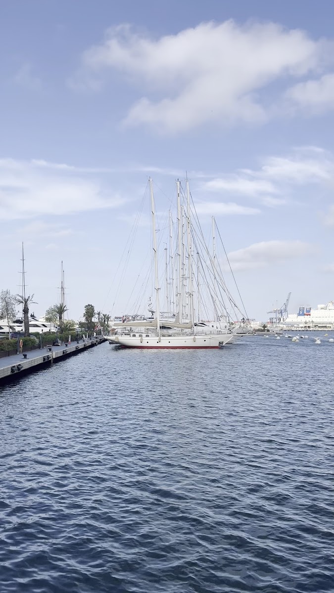 La Marina de Valencia — photo 3