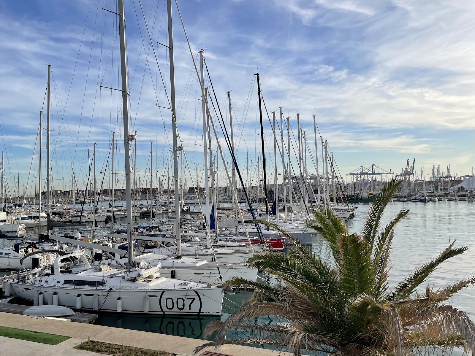 La Marina de Valencia — photo 4