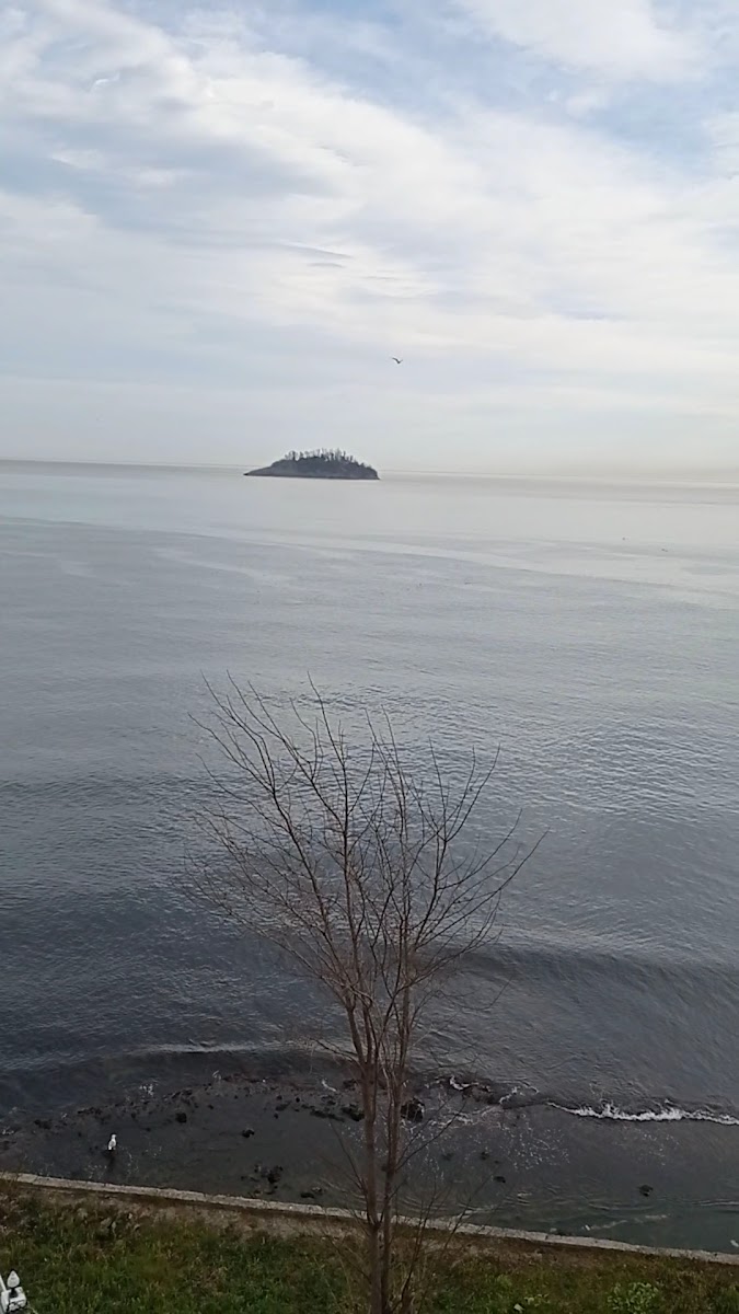 La Quinta by Wyndham Giresun — fotoğraf 5