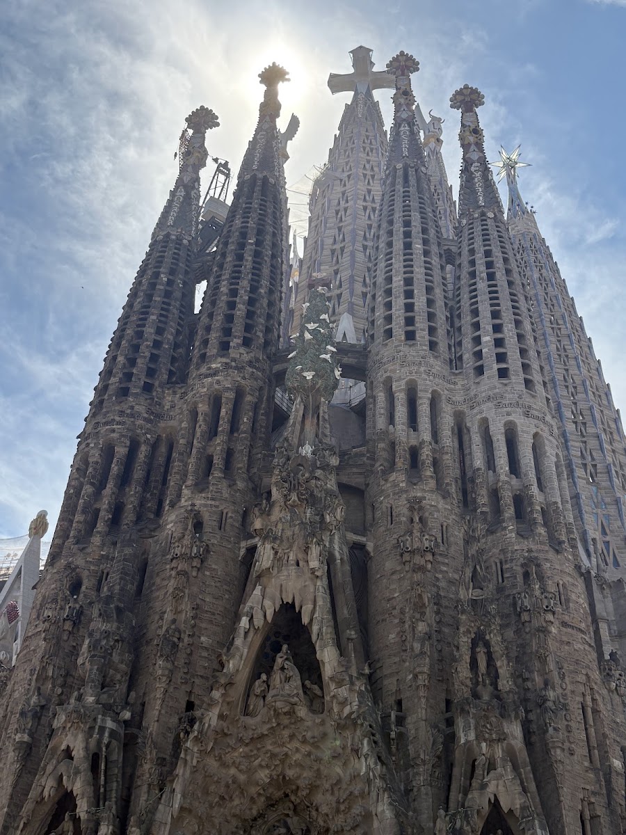 La Rambla — photo 2