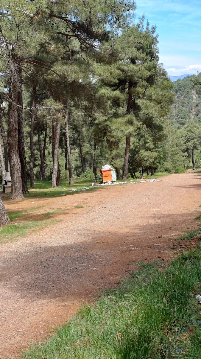 Laçin Mesire Piknik Alanı — fotoğraf