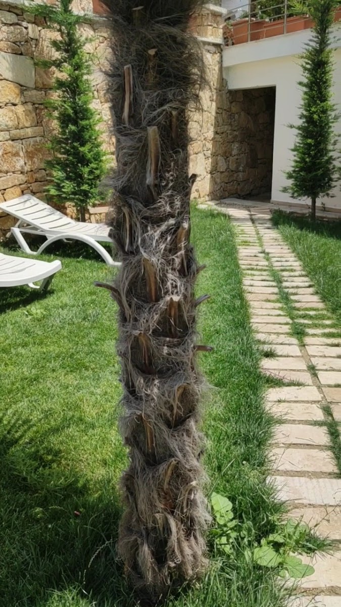 Ladik Termal Hotel — fotoğraf 3