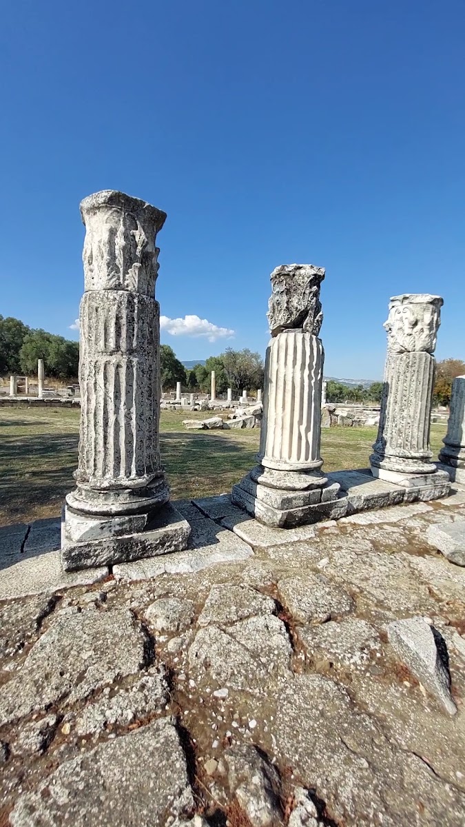 Lagina Antik Kenti — fotoğraf 3