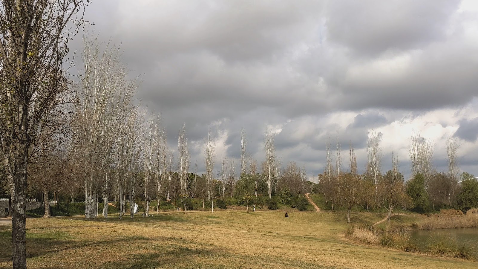 Lago del parque de Cabecera — fotoğraf 3