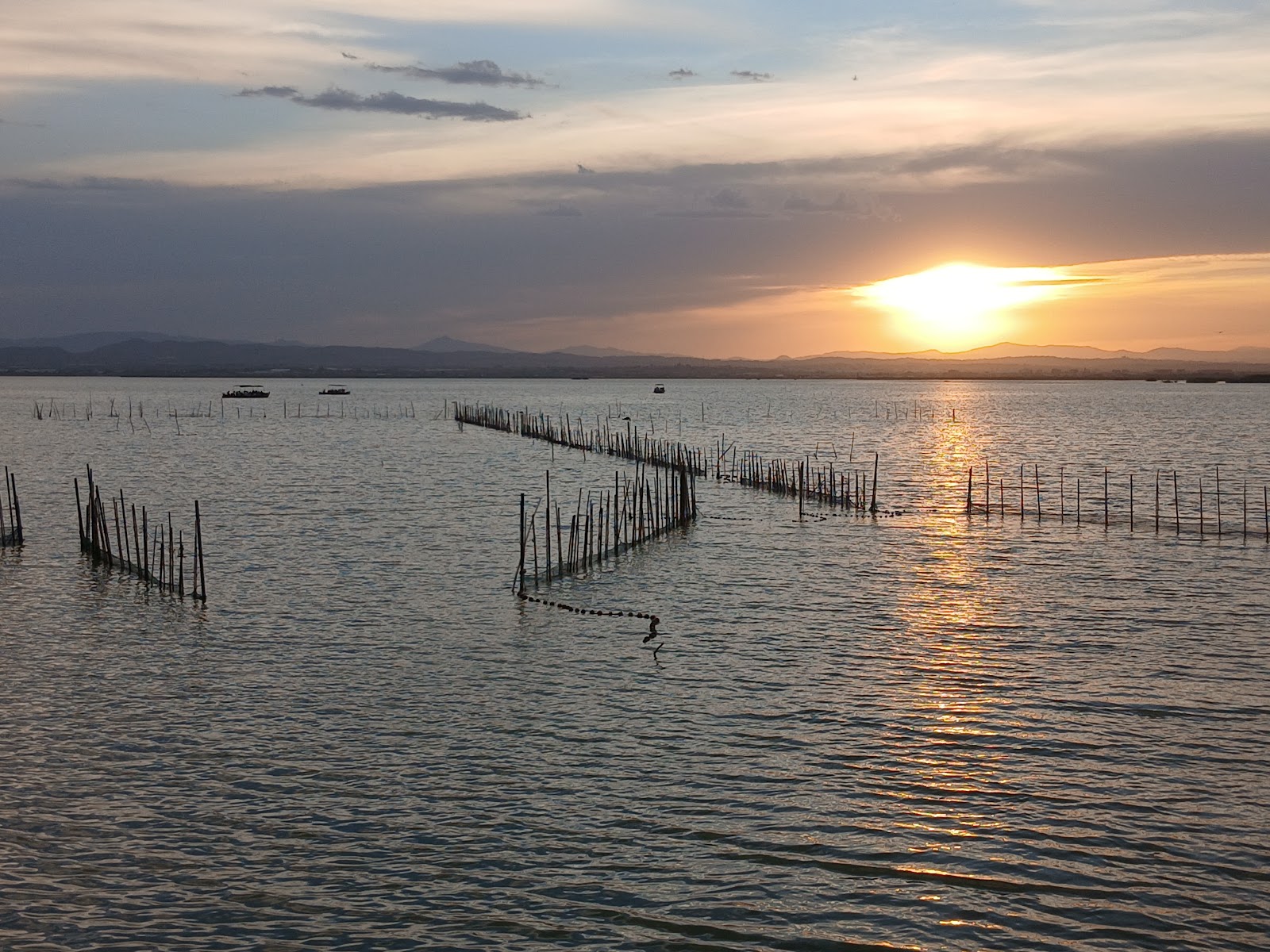 L'Albufera — photo 2