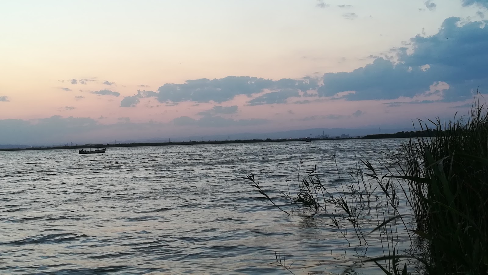 L'Albufera — photo 4