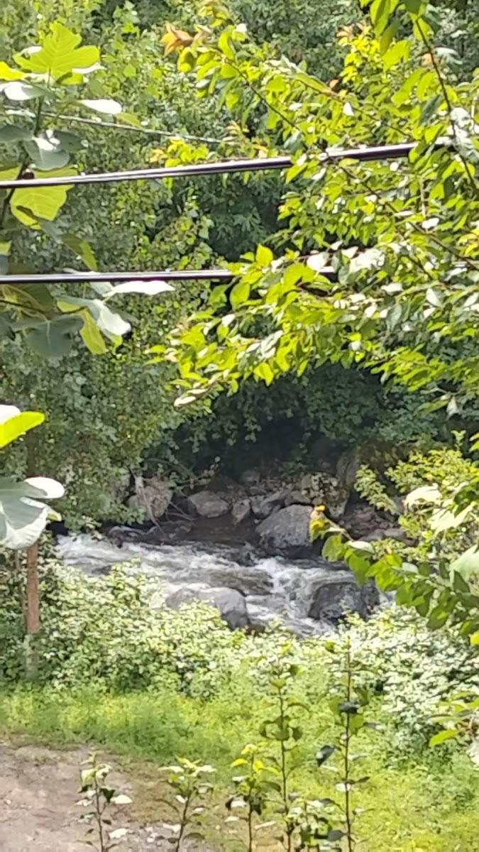 Lapera Butik Otel — fotoğraf 3