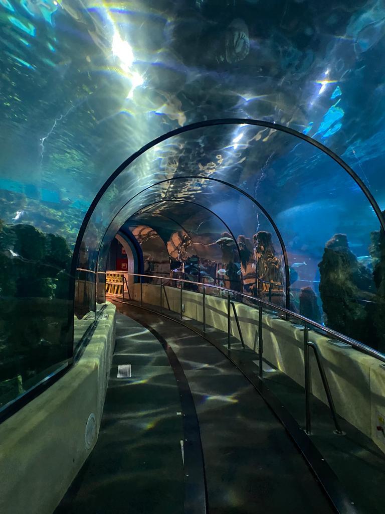 L’Aquàrium de Barcelona — photo