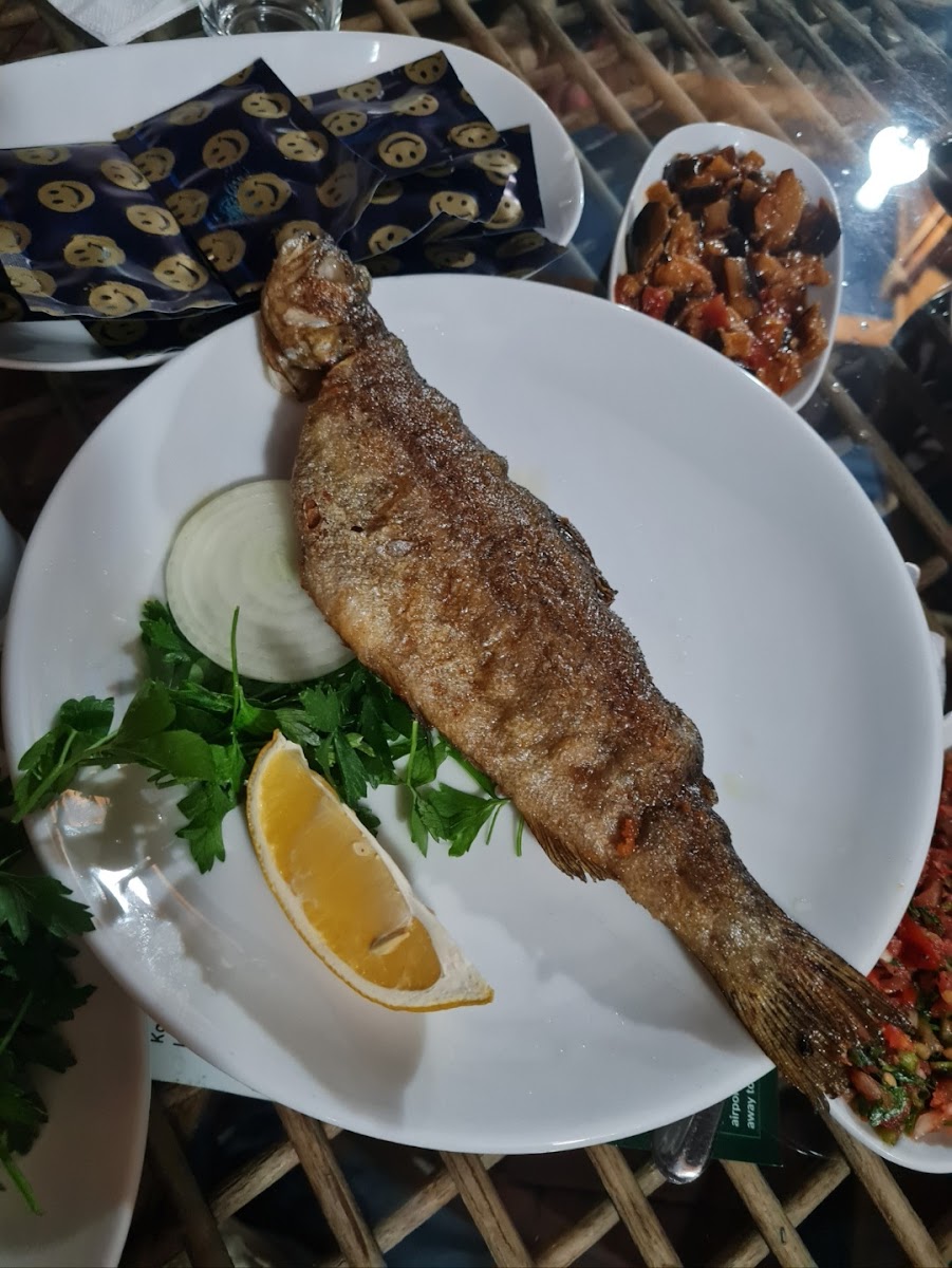 Laşet Canlı Alabalık Tesisleri Restoran — fotoğraf 2