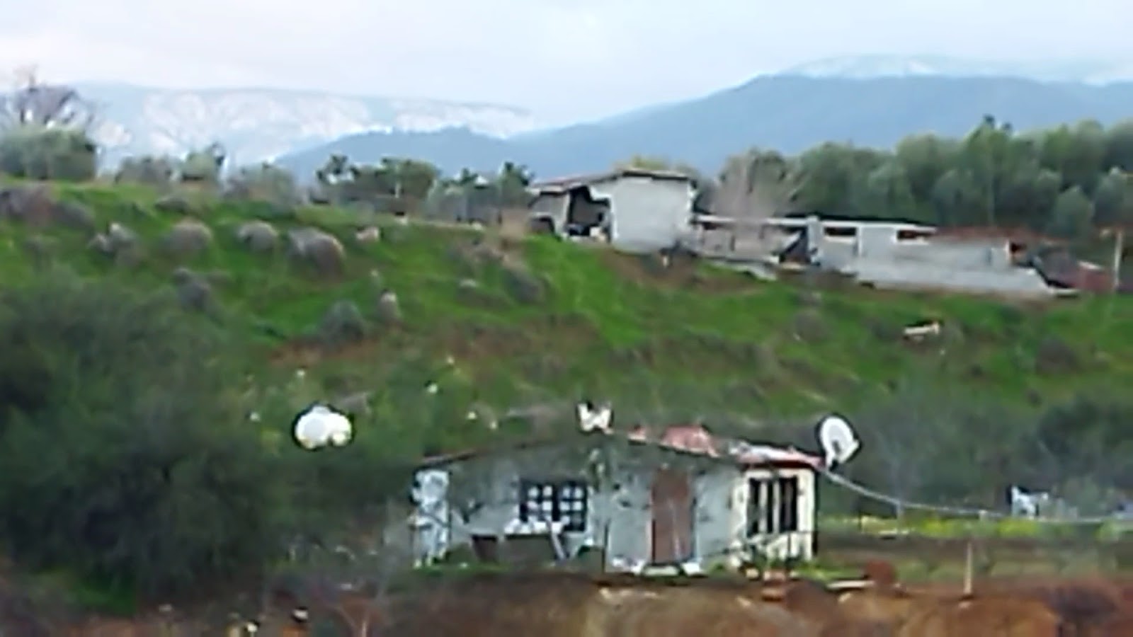 Lefke at çiftliği — photo 4