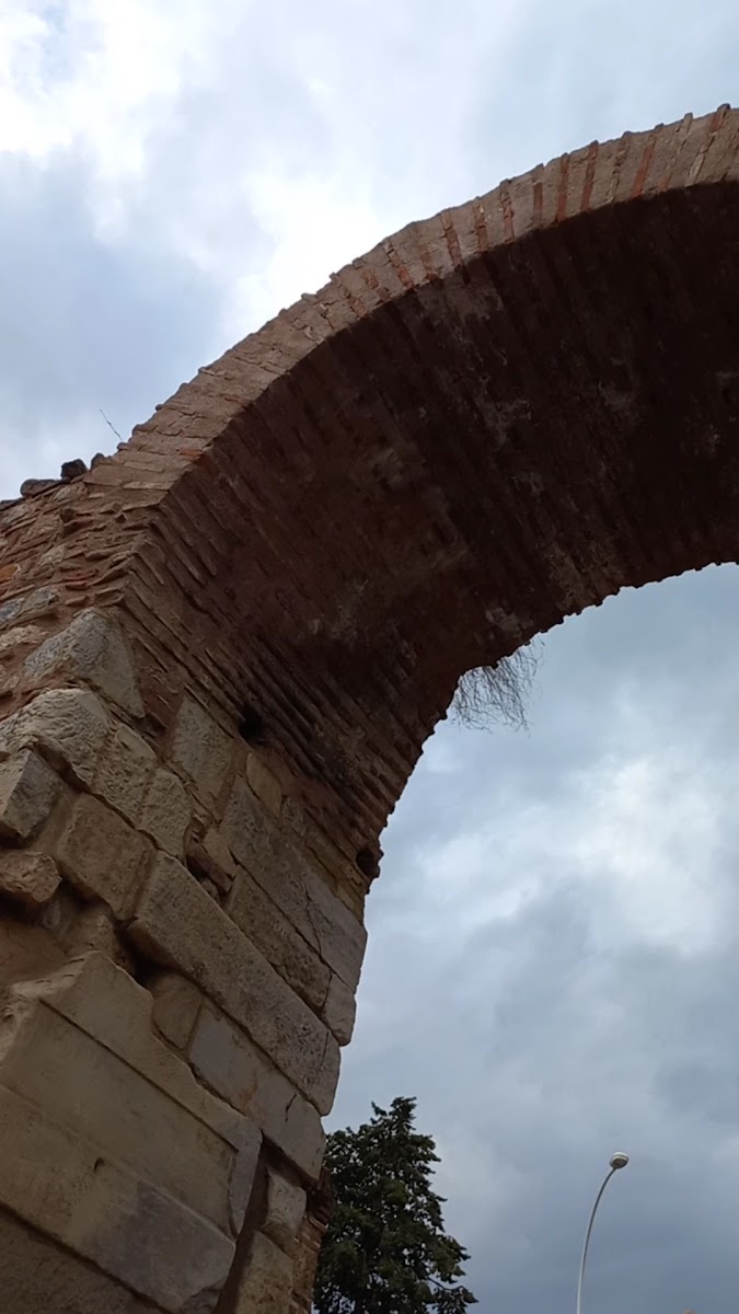 Lefke Kapısı — photo 3