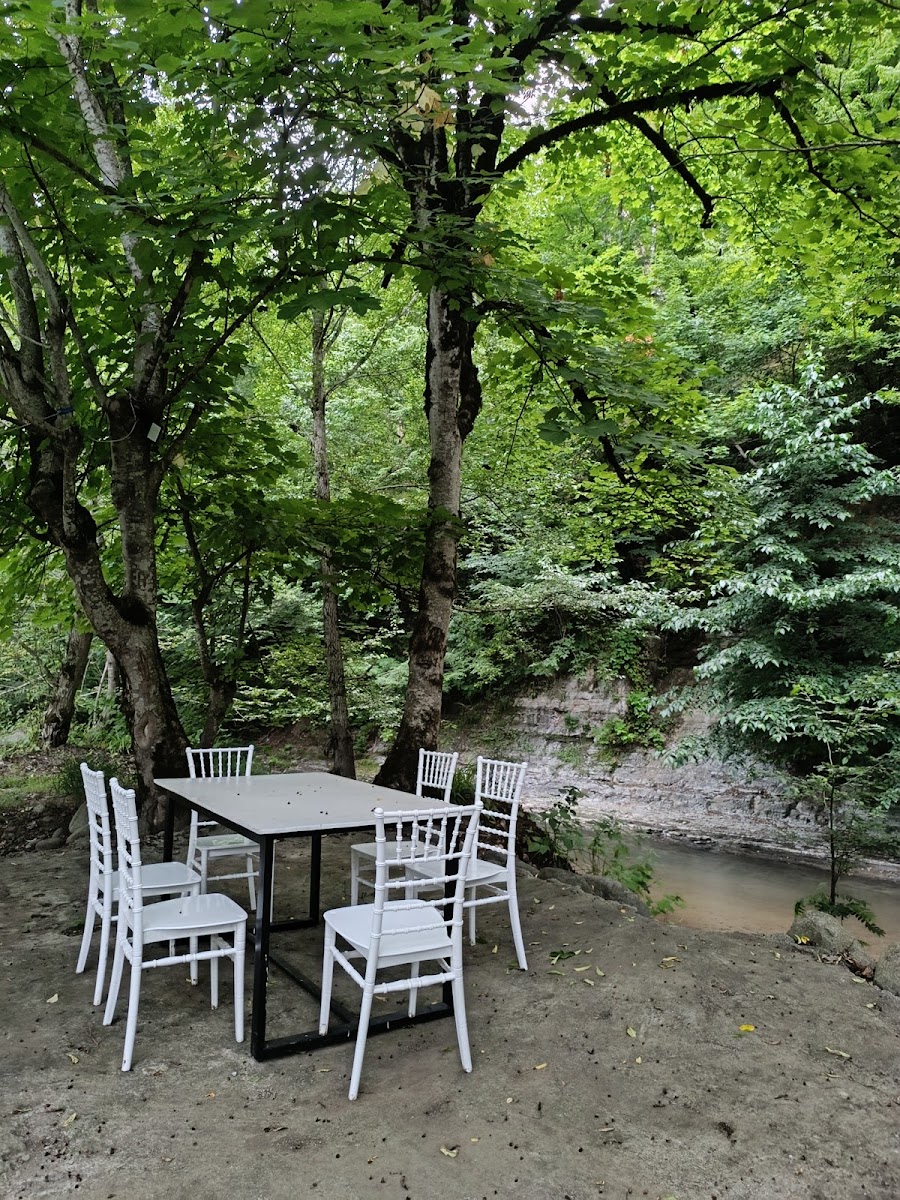 Lerik Forest — photo