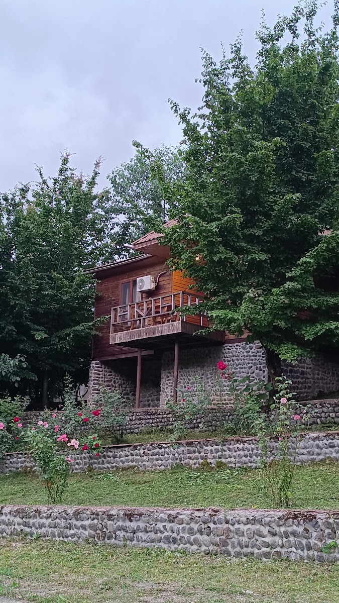 Lerik Forest — fotoğraf 3