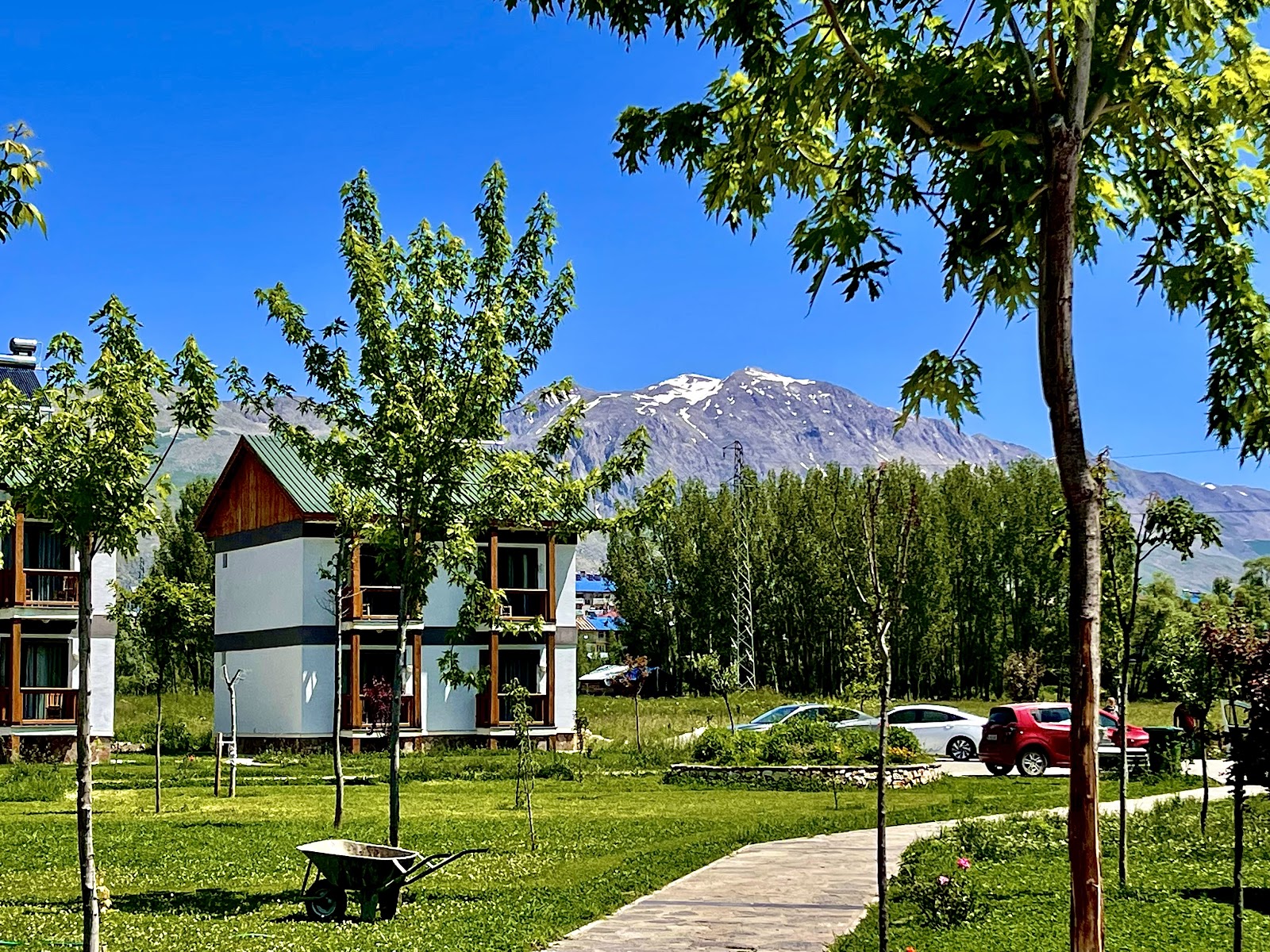 LewÇem — fotoğraf 5