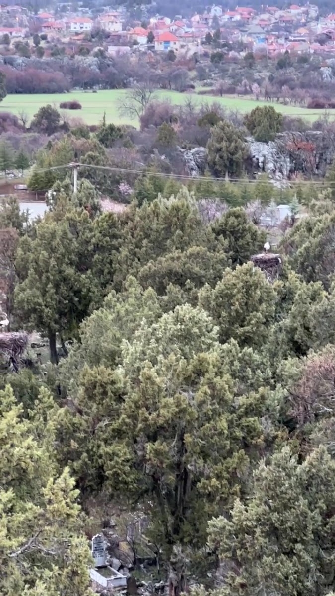 Leylekler vadisi — fotoğraf 2