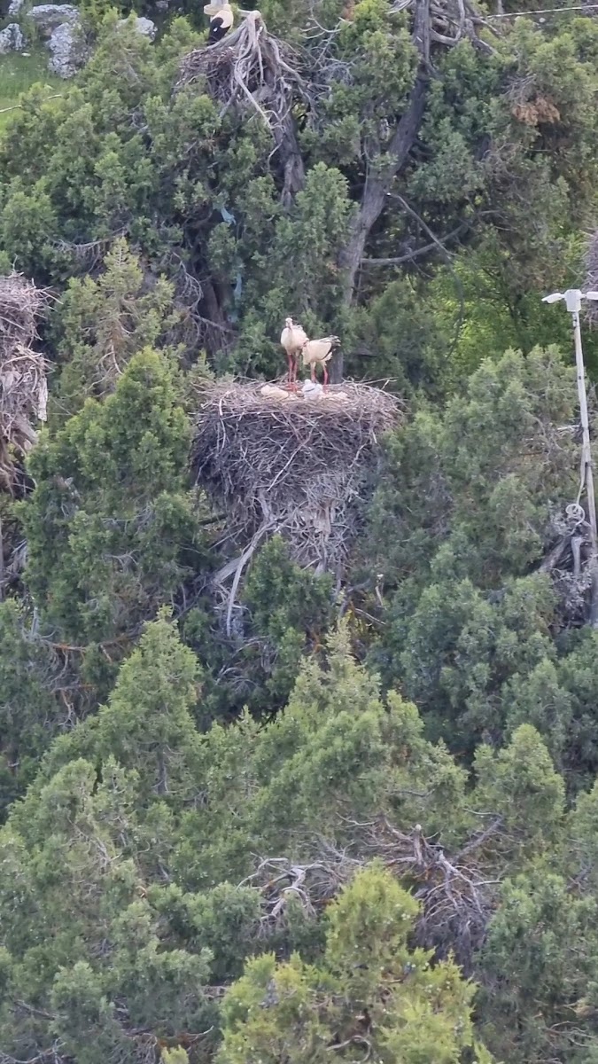 Leylekler vadisi — fotoğraf 3