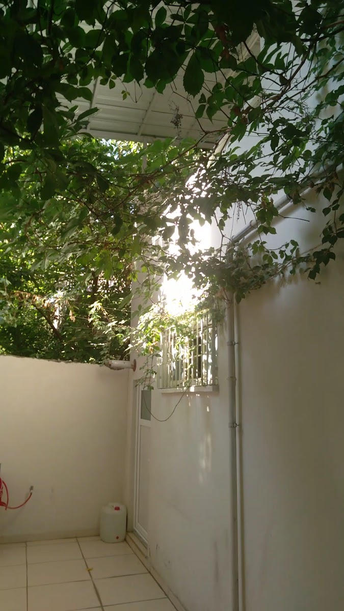 Lezzet Kebap — fotoğraf 3