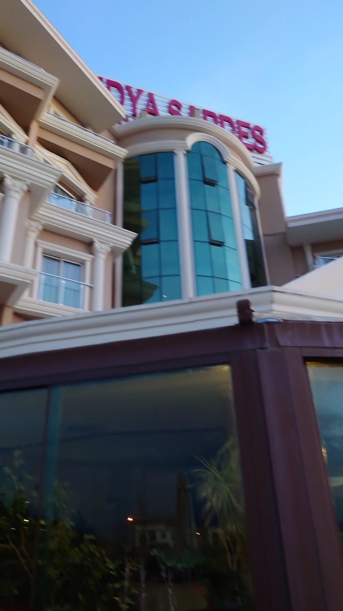 Lidya Sardes Hotel Thermal & Spa — fotoğraf 4