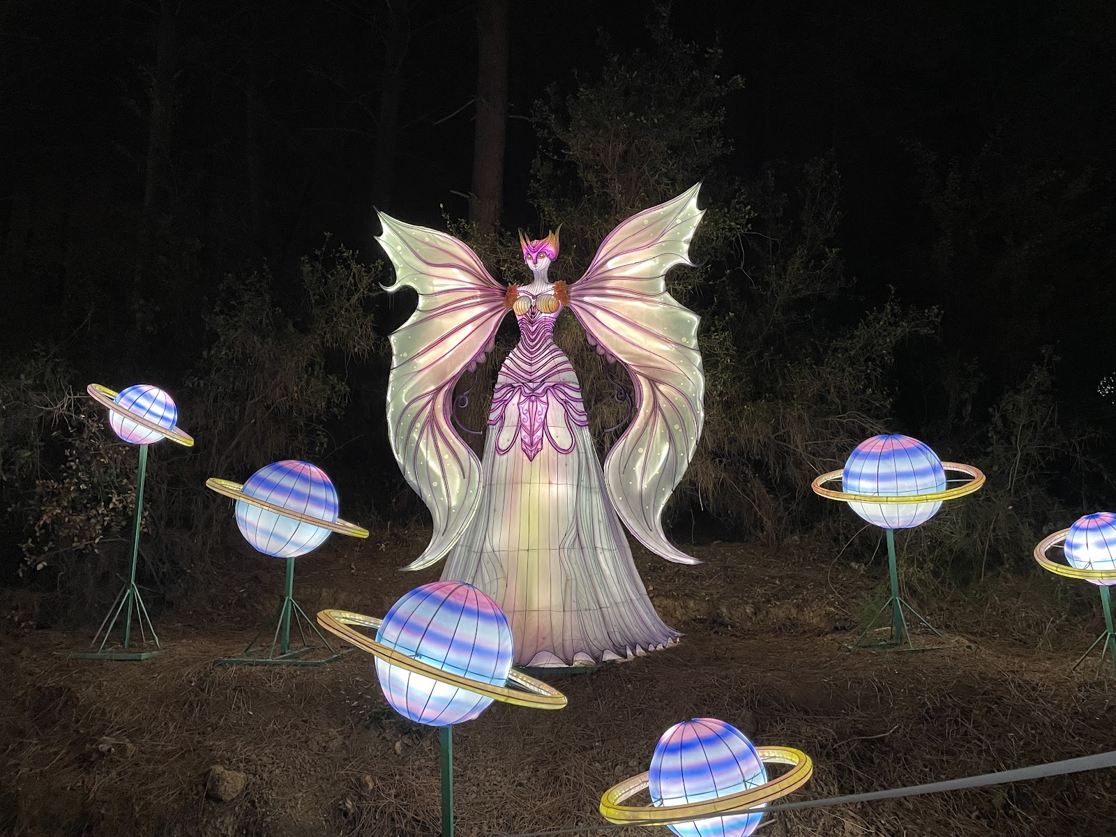 Lights and Dreams (ORMANDA IŞIK FESTİVALİ) — photo