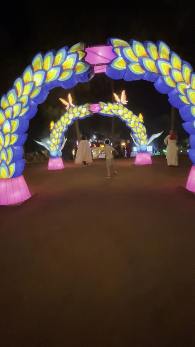Lights and Dreams (ORMANDA IŞIK FESTİVALİ) — fotoğraf 3