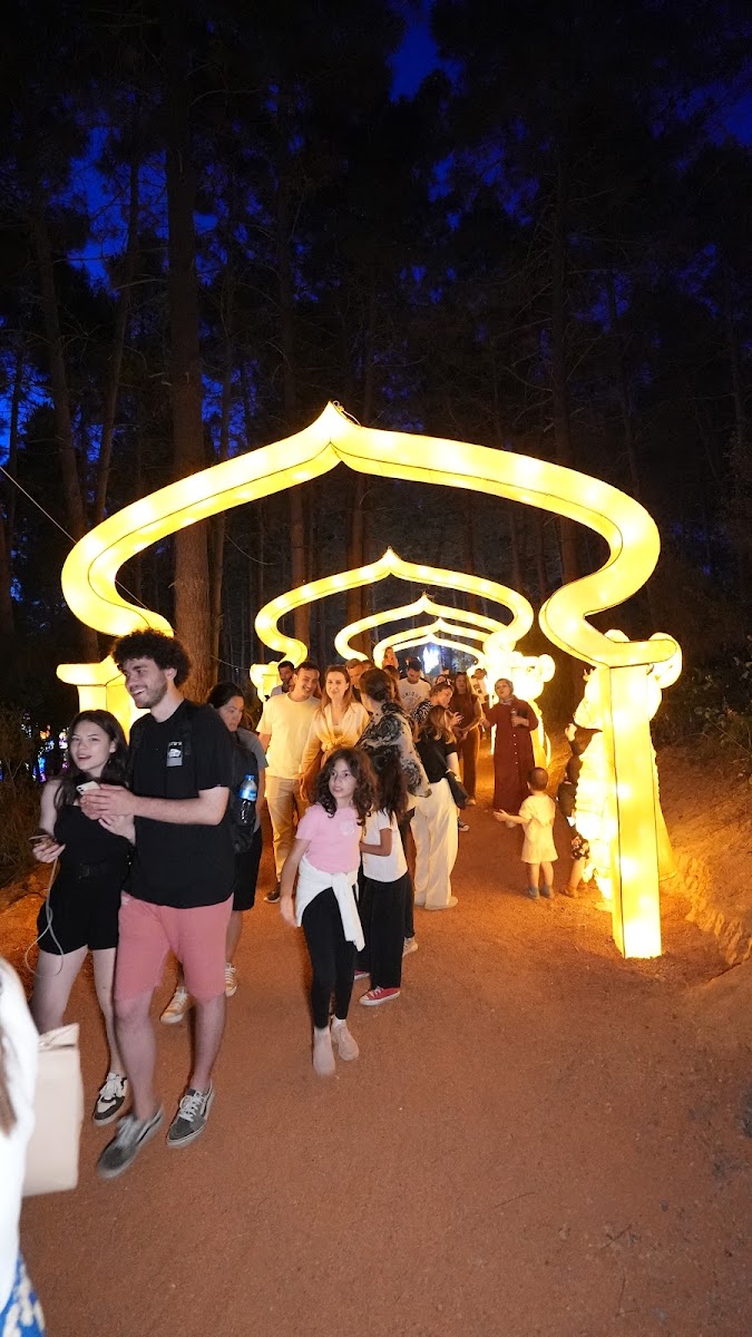 Lights and Dreams (ORMANDA IŞIK FESTİVALİ) — fotoğraf 4
