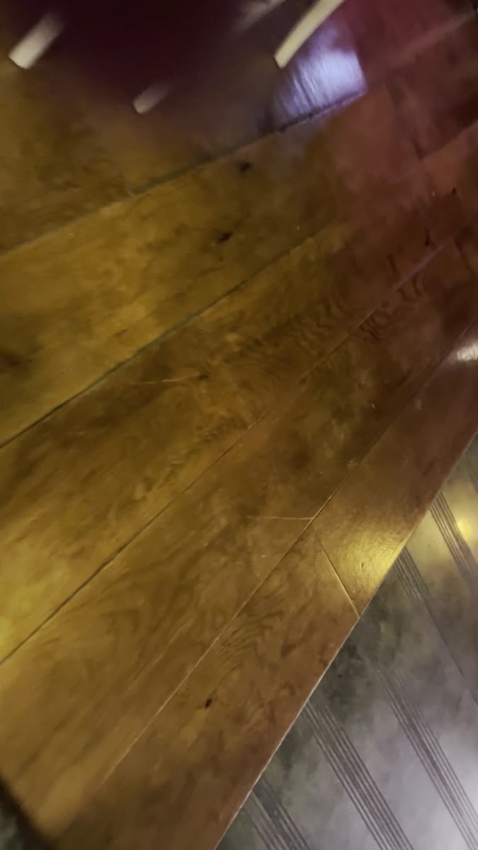 Lila Pasta & Börek — fotoğraf 3