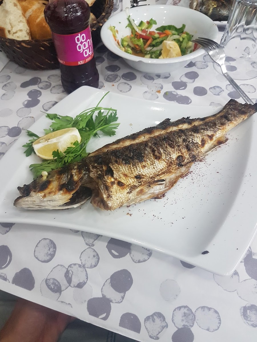 Liman Balıkçılık ,Manisa balık pişirici,Manisa günlük balık satıs — fotoğraf 4