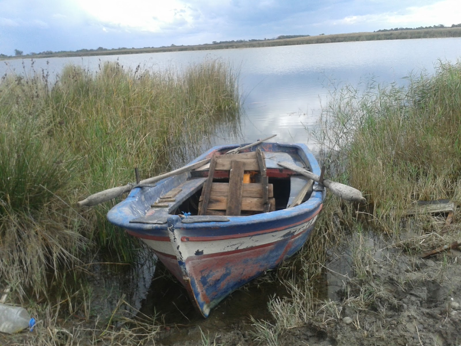 Liman Gölü — photo 2