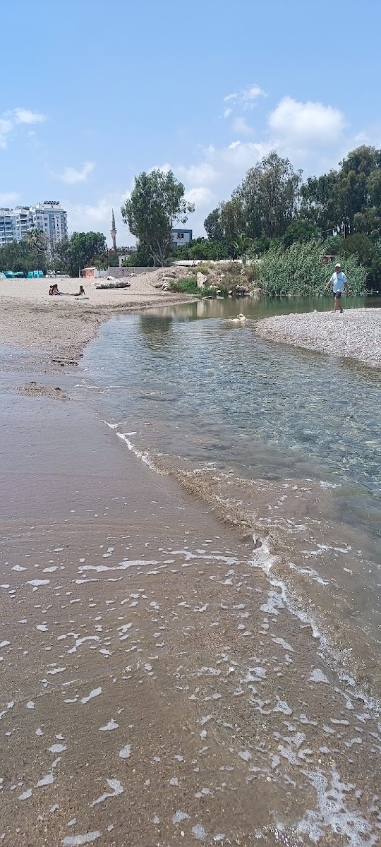 Limonlu Çayı — photo