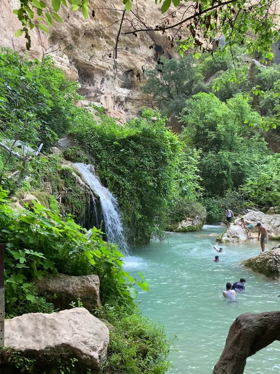 Limonlu Çayı — fotoğraf 3