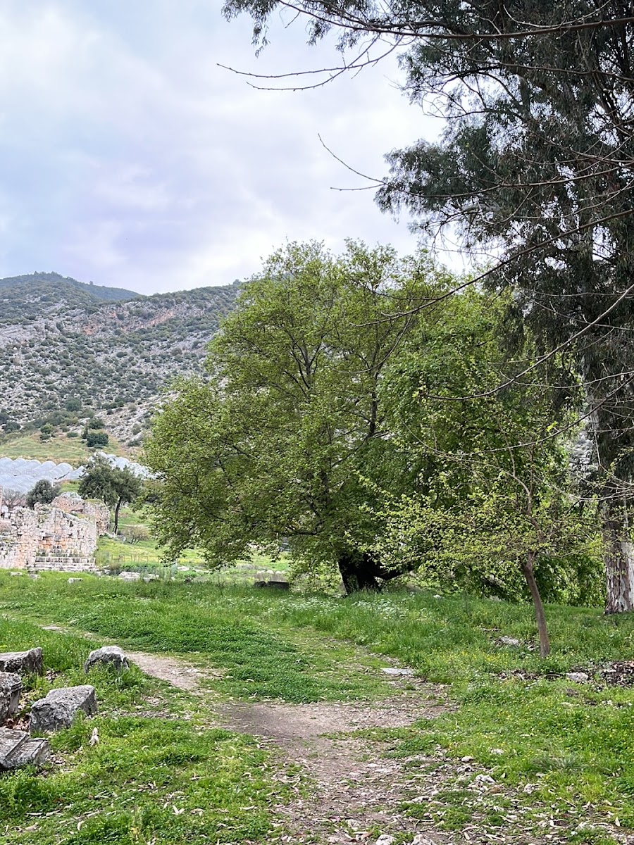 Limyra Antik Tiyatrosu — fotoğraf 2